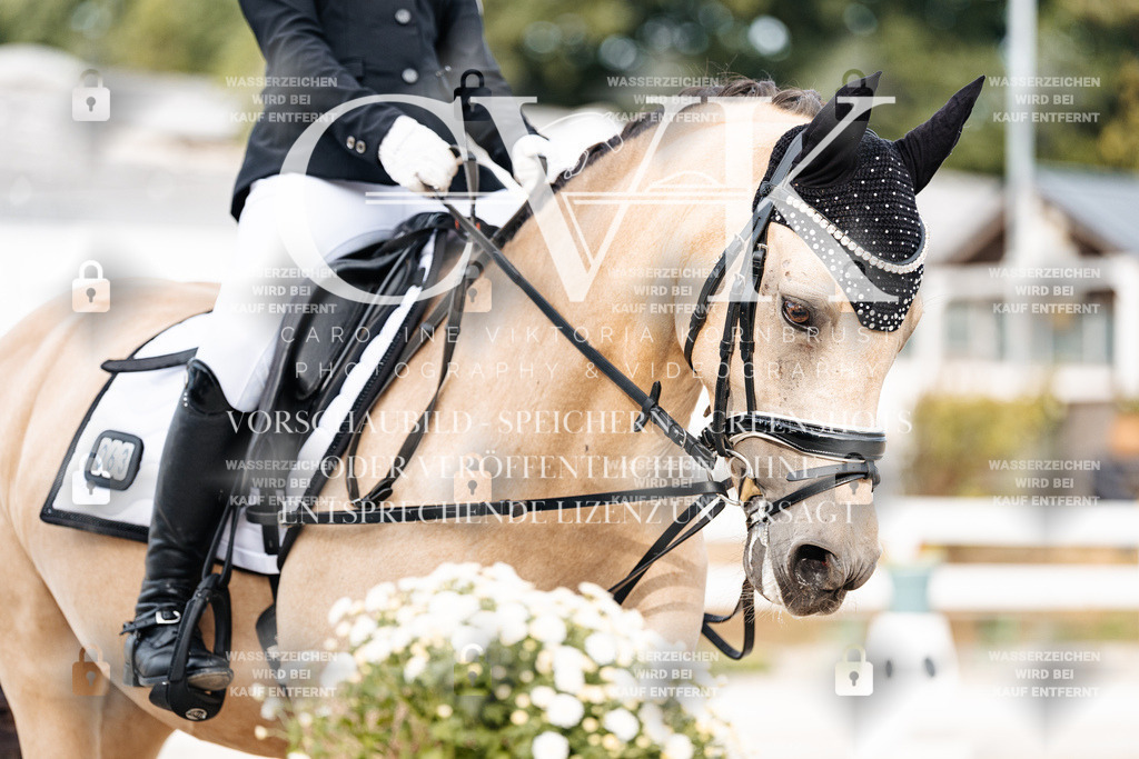 CK904309 | Turnierfotografie Pferdefotografie Trier Rheinland-Pfalz Pferdesport Reitsport Tierfotografie Sportfotografie Pferdevideo Pferdevideografie Equestrianvideography equestrianphotography  - Realisiert mit Pictrs.com