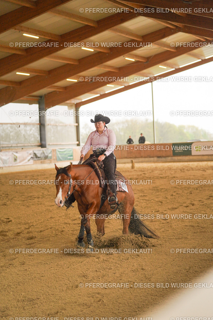 DSC00217 | Pferdegrafie