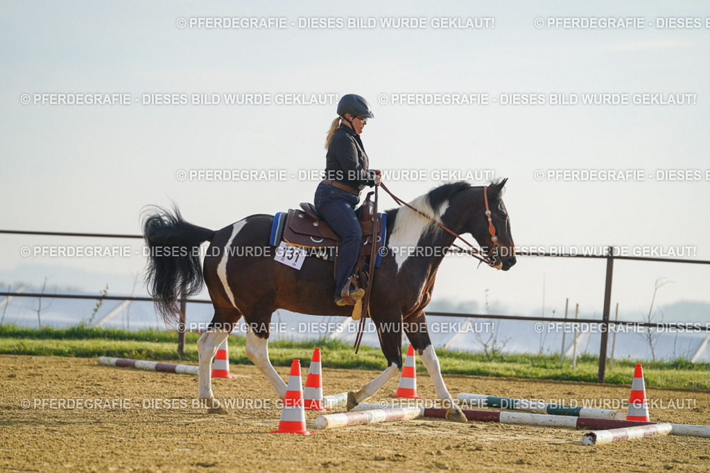 DSC09836 | Pferdegrafie