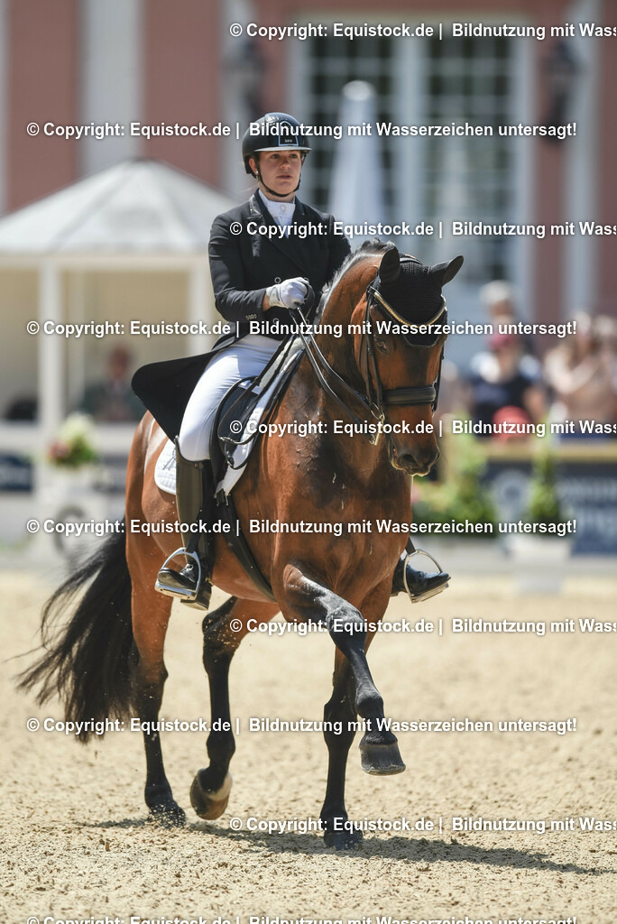 20230527_01_GP-Kür-Tour_0109 | equistock