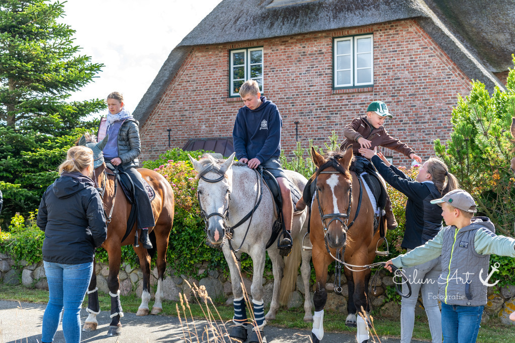 20240707-EAF_8450 | Eilun-Art-Fotografie Levke Martens, ihre Fotografin für Immobilien- und Landschaftsfotografie auf Föhr, Föhrer Motive als Poster, Leinwand, hinter Acrylglas oder stelle dir deinen eigenen Monatskalender zusammen, mit nur einem Klick