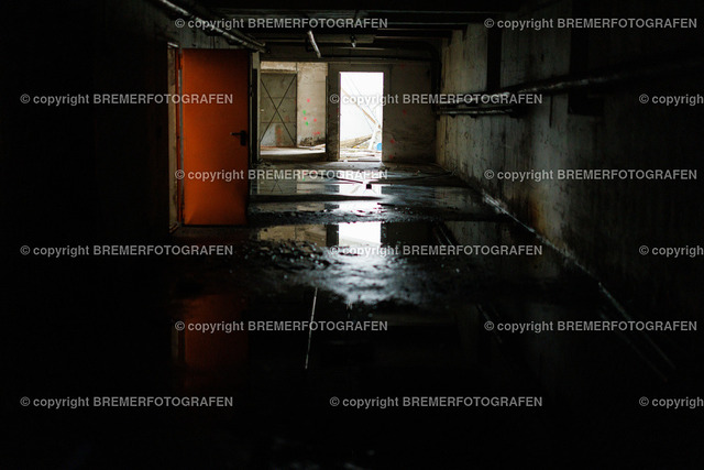 1H0A5684 | Eine Hommage an Bremen. Einzigartige Fotografien und Drohnenaufnahmen von Bremer Fotografen zum Staunen und auch zum Kaufen.