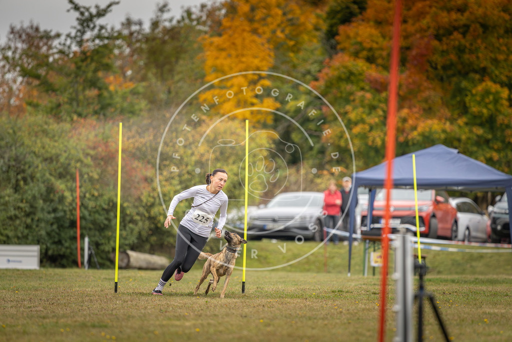 Pfotenfotografie_DV3A3911 | Hundefotografie, Tierfotograf, Pfotenfotografie, Fotoshooting Hund, Hunde Portrait, Hundesport, Hundeportraits, Heideshooting, Hunde, Sportfotograf, Hundefotograf, Turnierhundsport, THS,  - Realisiert mit Pictrs.com