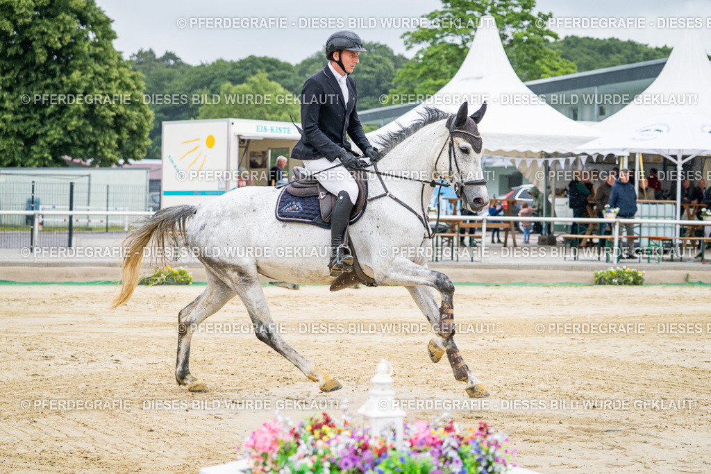 DSC01337 | Pferdegrafie