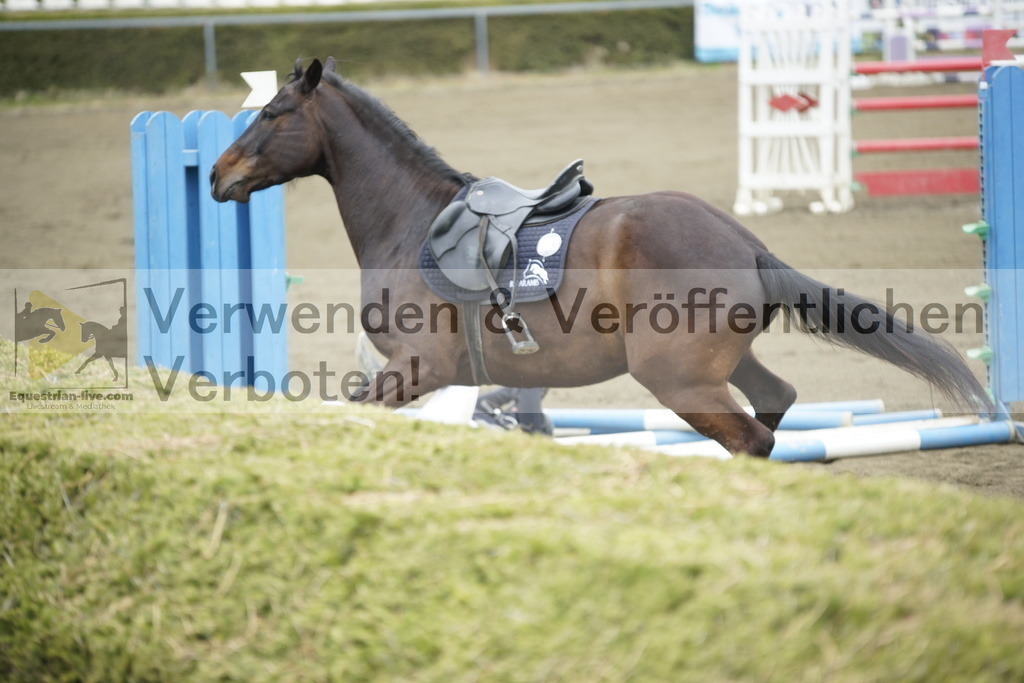 _DSC7101 | equestrian-live-com