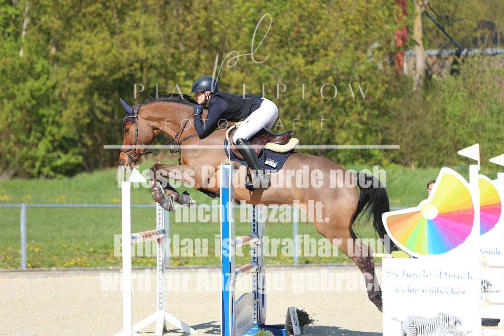 IMGM2475 | pl-fotografie