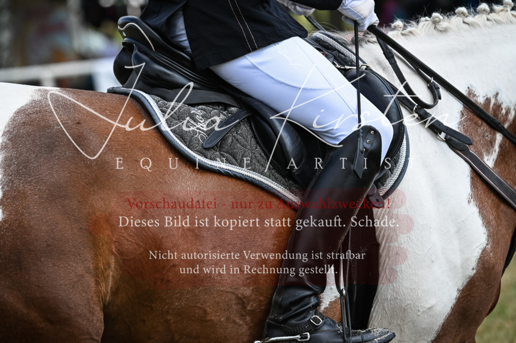 DSC_8565 | Pferde- und Turnierfotografie in Westsachsen. Pferdeportraits, Auftragszeichnungen und intuitive Kunst.