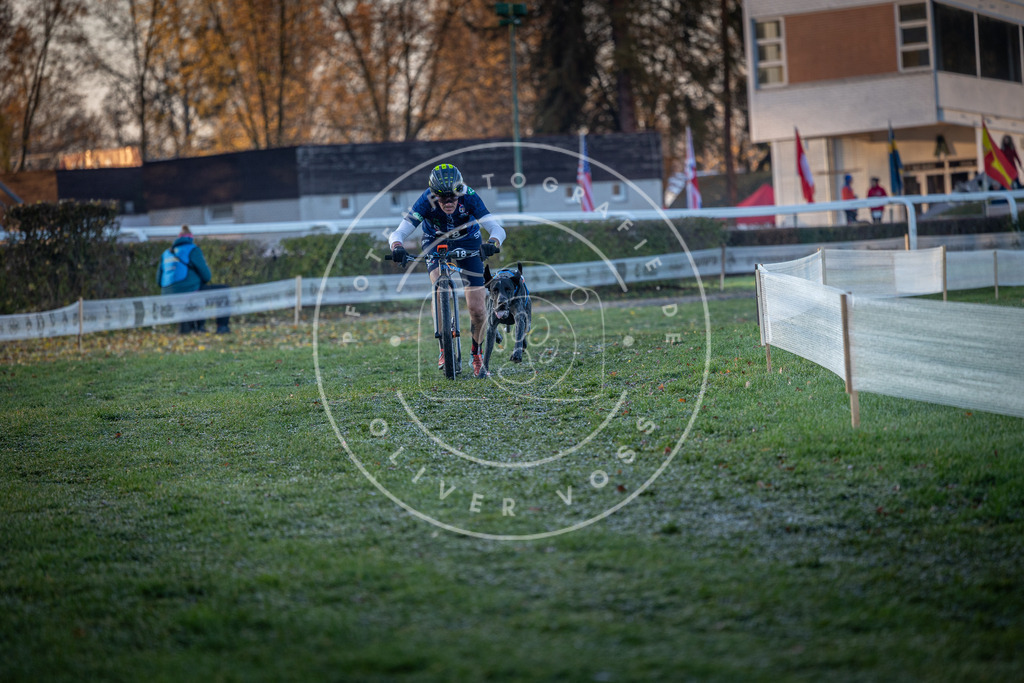 CaniXpix_0L8A1208 | Hundefotografie, Tierfotograf, Pfotenfotografie, Fotoshooting Hund, Hunde Portrait, Hundesport, Hundeportraits, Heideshooting, Hunde, Sportfotograf, Hundefotograf, Turnierhundsport, THS,  - Realisiert mit Pictrs.com
