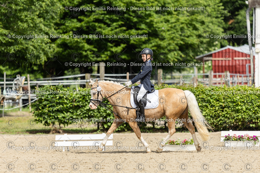 CL5A1302 | Emilia Reinking Fotografie - Realisiert mit Pictrs.com