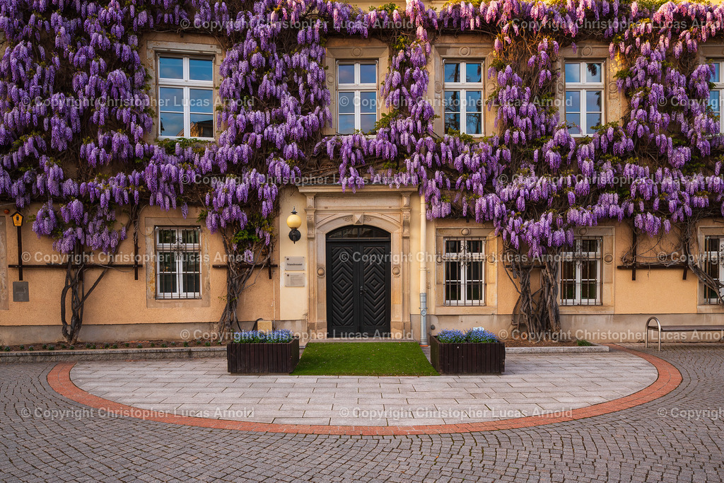 005 - Mai | bildkomponist - Realisiert mit Pictrs.com