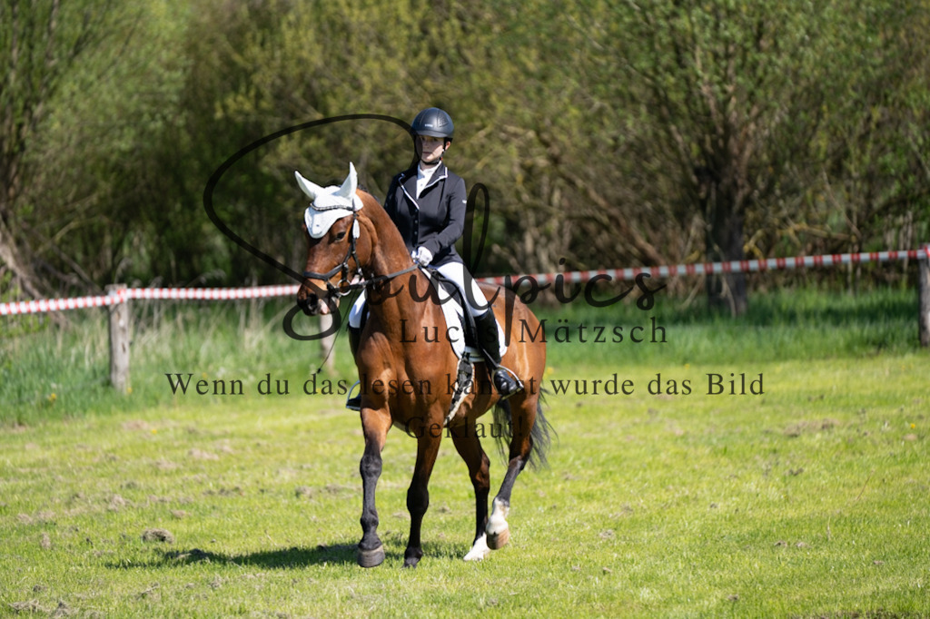 A7V01341 | Pferdefotograf