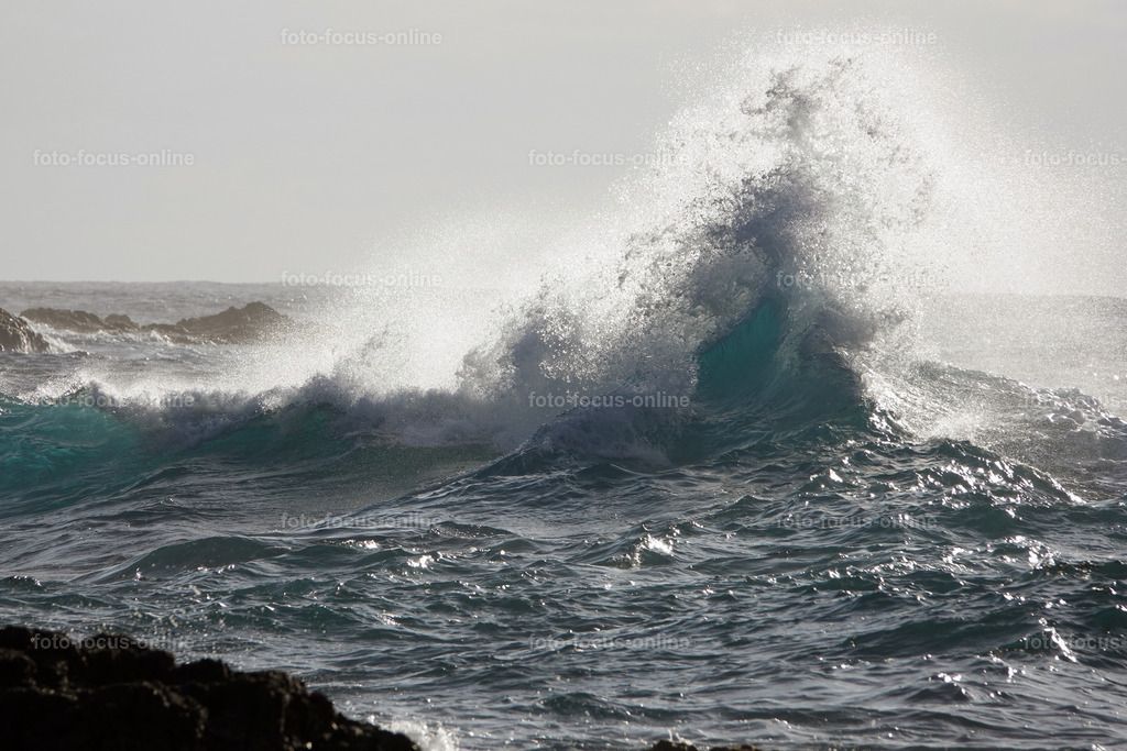 waves | Elemental power of the waves