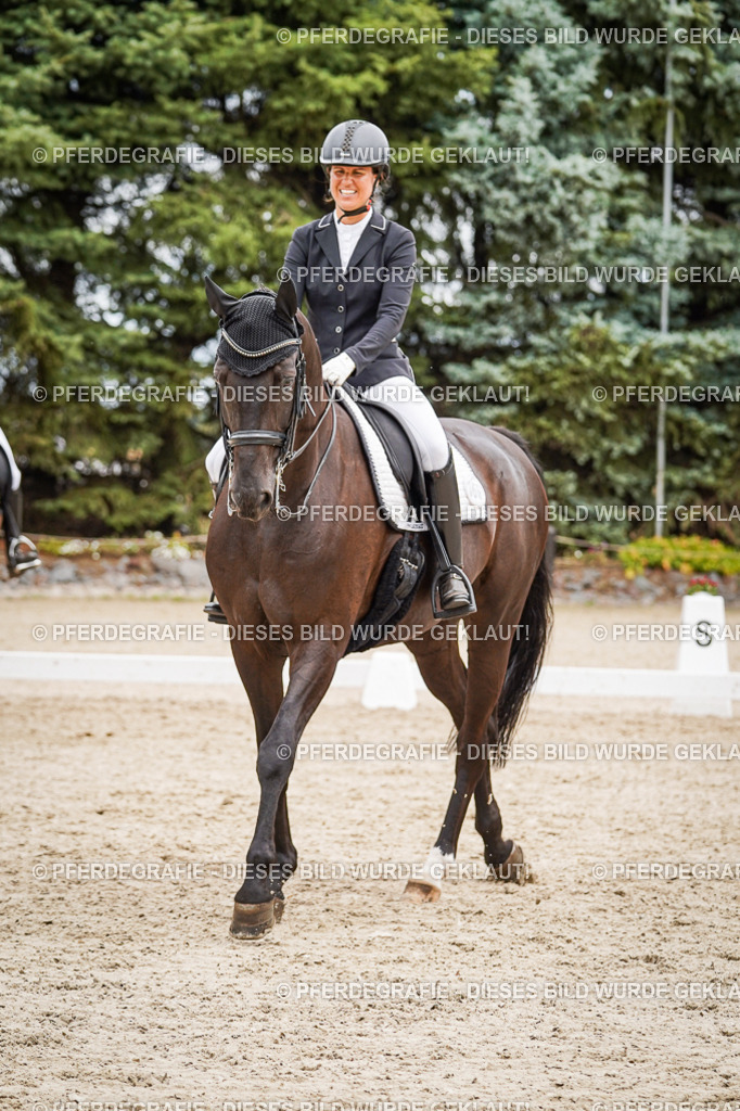 DSC04750 | Pferdegrafie