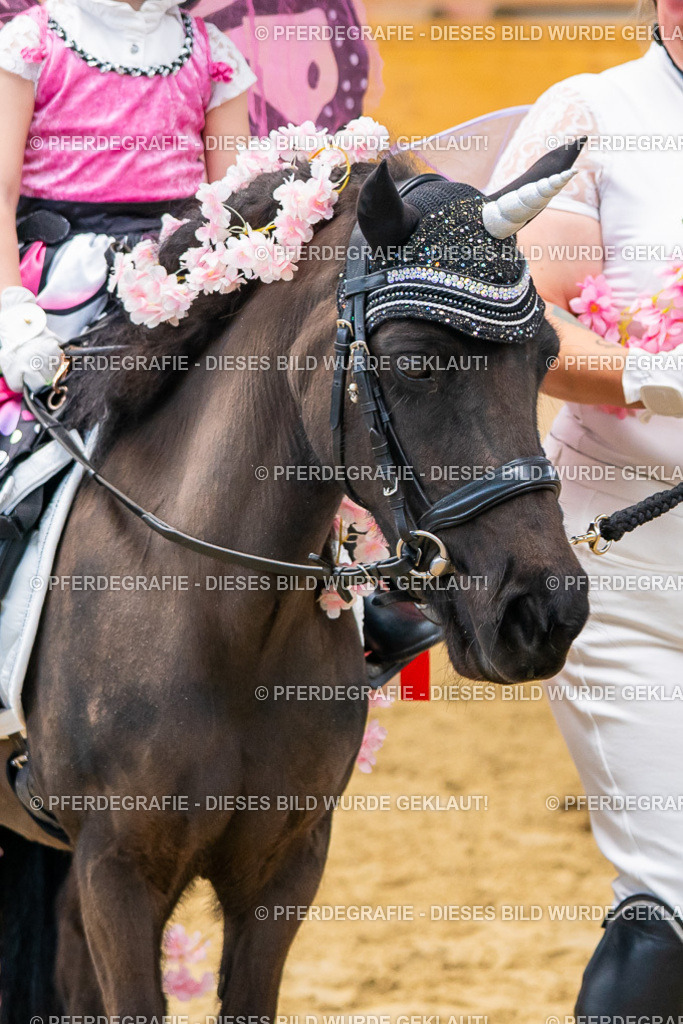 DSC00321 | Pferdegrafie