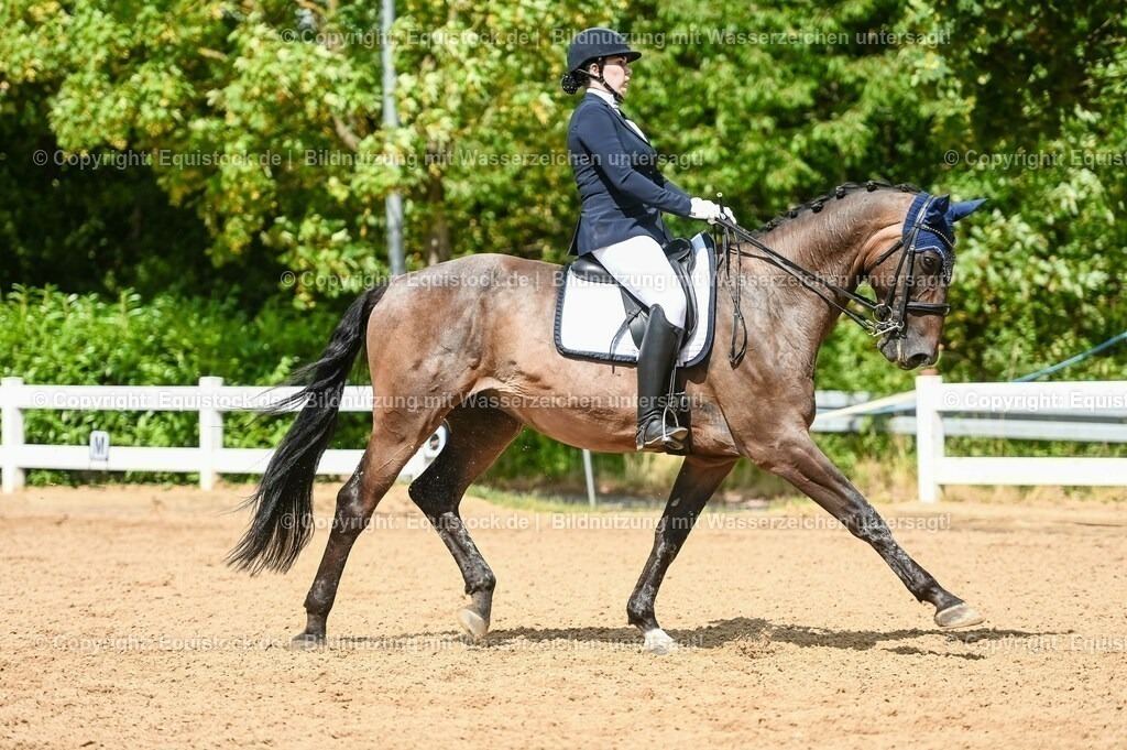 20230716_01_Dressurprüfung Kl.M_0306 | equistock