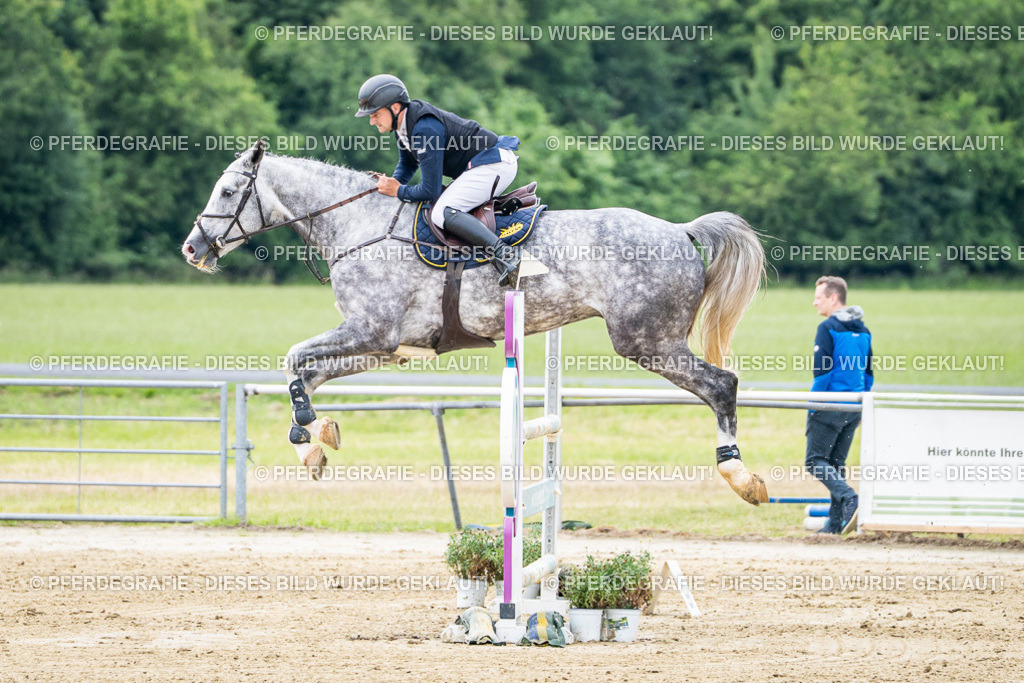 DSC05392 | Pferdegrafie