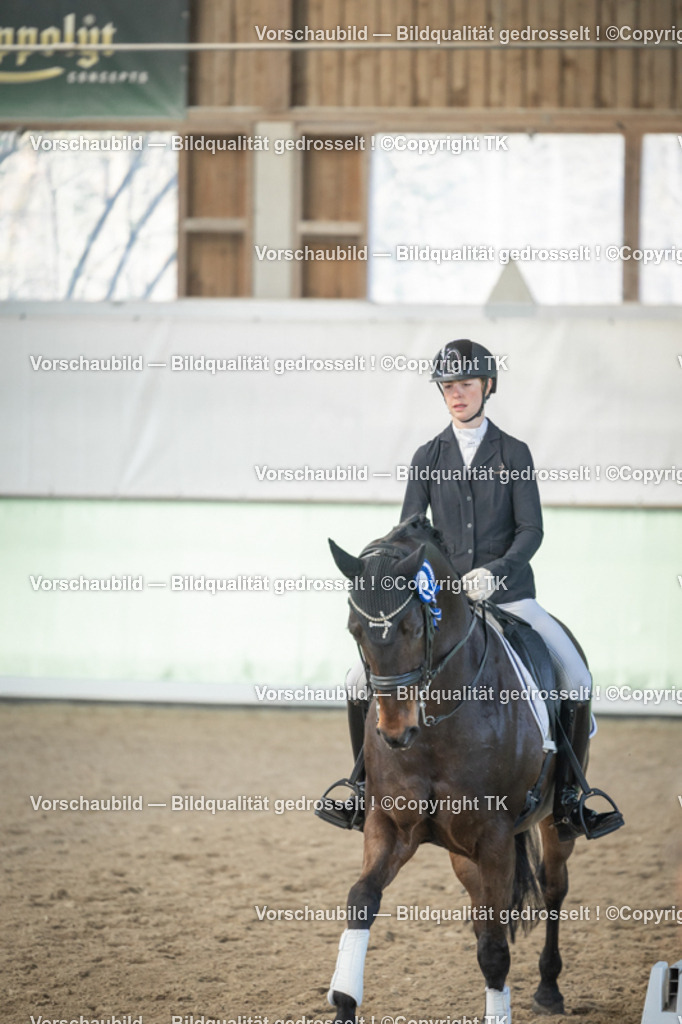 _D5A4549 | Emotionale Pferde- & People-Fotografie rund um Heidelberg, Leimen & Umgebung. Natürliche Fotos von Pferd, Mensch & Familie. Jetzt Termin sichern!