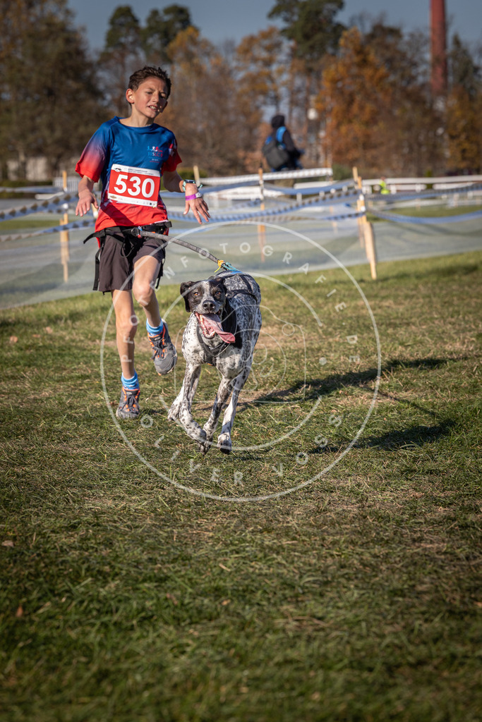 CaniXpix_0L8A7303 | Hundefotografie, Tierfotograf, Pfotenfotografie, Fotoshooting Hund, Hunde Portrait, Hundesport, Hundeportraits, Heideshooting, Hunde, Sportfotograf, Hundefotograf, Turnierhundsport, THS,  - Realisiert mit Pictrs.com