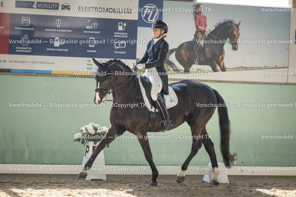 _D5A2096 | Emotionale Pferde- & People-Fotografie rund um Heidelberg, Leimen & Umgebung. Natürliche Fotos von Pferd, Mensch & Familie. Jetzt Termin sichern!