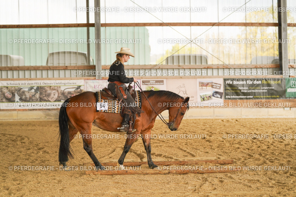 DSC02621 | Pferdegrafie