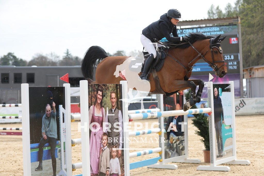 0P6A5377 | Willkommen bei Brunnmayr - Design & Fotografie – Ihrem Spezialisten für Reitturniere und Pferdeveranstaltungen in Oberösterreich, Salzburg und Bayern! Seit über 17 Jahren sind wir leidenschaftlich dabei.