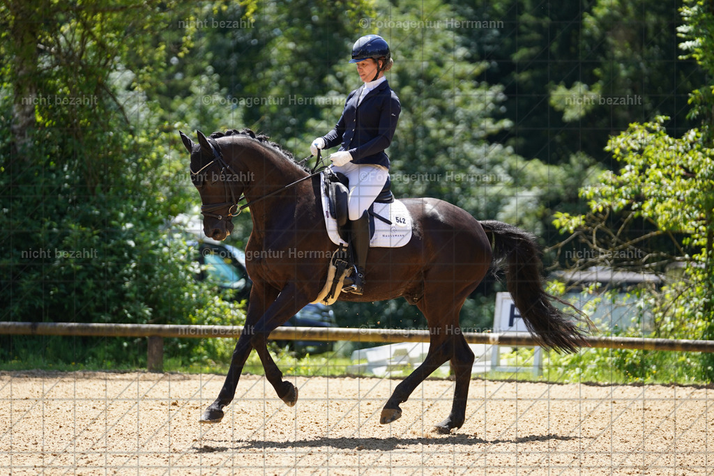 20240705-FAH03744 | Turnierbilder von Grafing, Reitsportbilder, Turnierfotos, Turnierfotografen Bayern, Pferdefotograf, Fotoagentur Herrmann