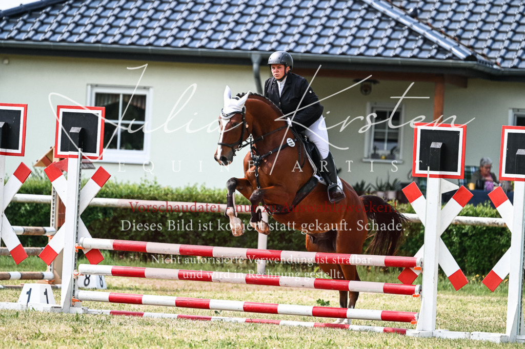 DSC_8693 | Pferde- und Turnierfotografie in Westsachsen. Pferdeportraits, Auftragszeichnungen und intuitive Kunst.