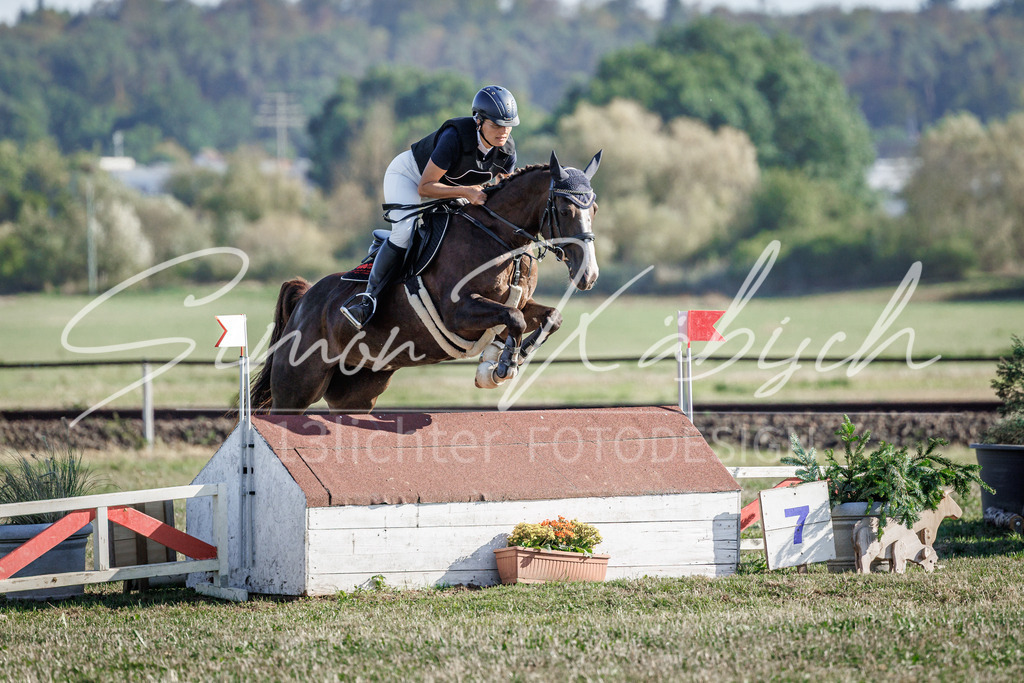 20260905-_3LI0473 | Tierfotografie Pferde, Hunde, Katzen, Haustiere.
Turnierfotografie Reitturniere, Reiten, Springreiten, Dressur in Hanau, dem Main-Kinzig-Kreis und dem Rhein-Main- Gebiet um Frankfurt