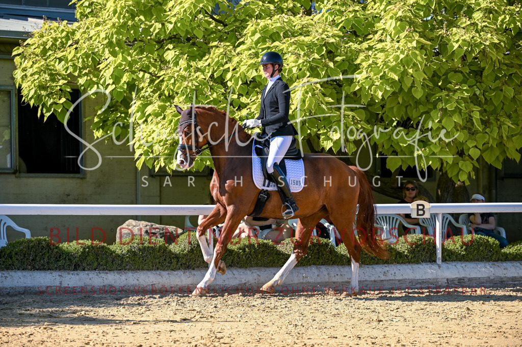 Schugtsche-Aluta25-50.Dressurpferdeprf.L-288 | Schugtsche Fotografie - Realisiert mit Pictrs.com