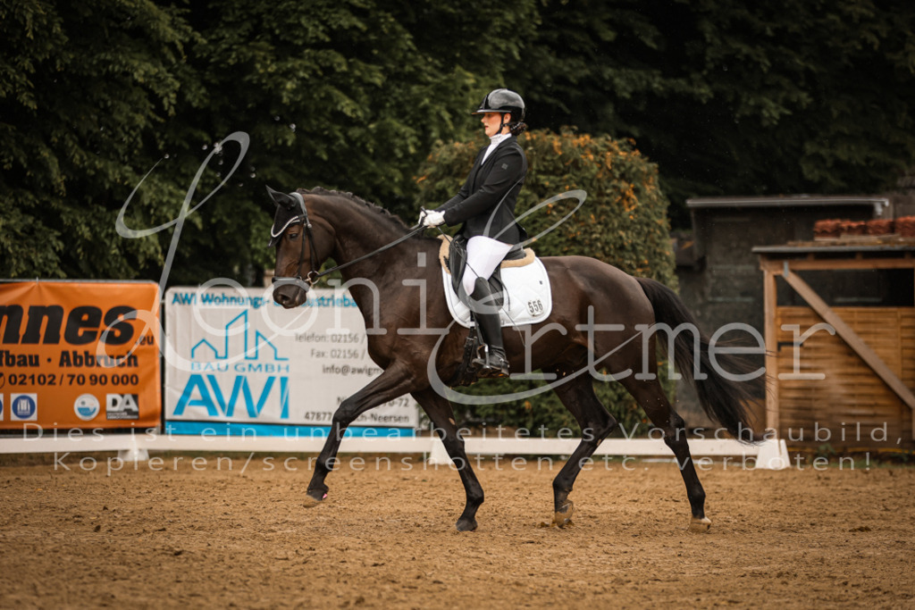 DoDrA00260 | Leoni Ertmer Photography - Realisiert mit Pictrs.com