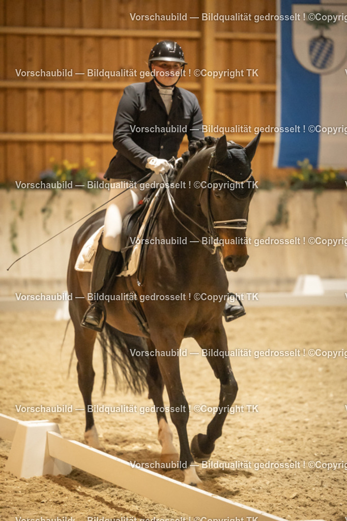 _D5A4225 | Emotionale Pferde- & People-Fotografie rund um Heidelberg, Leimen & Umgebung. Natürliche Fotos von Pferd, Mensch & Familie. Jetzt Termin sichern!