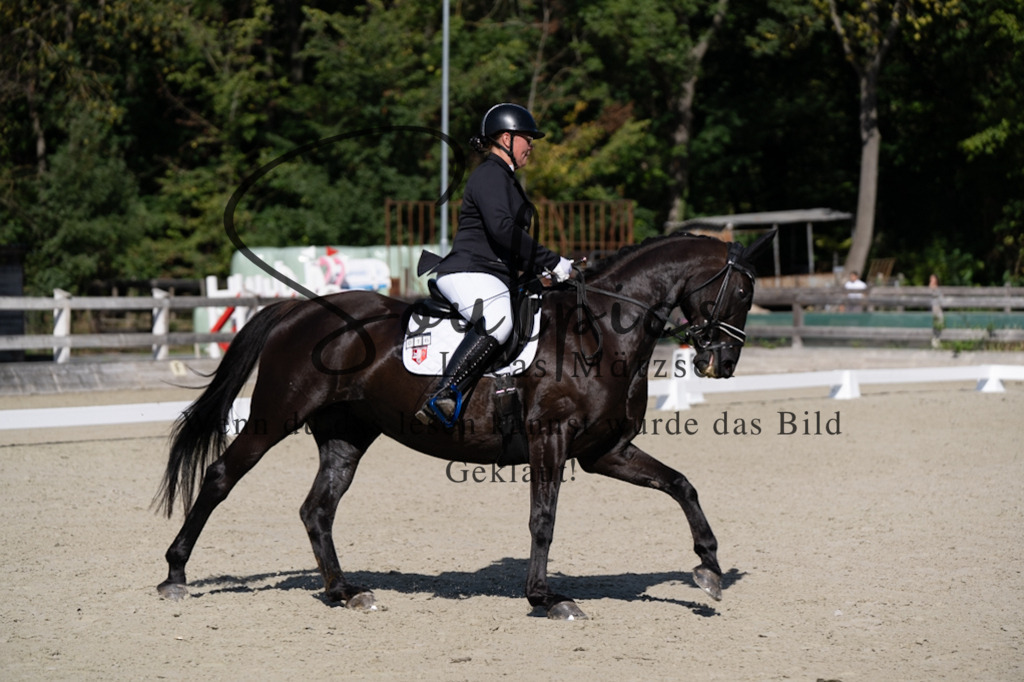 A7V07078 | Turnier/Reitfotograf