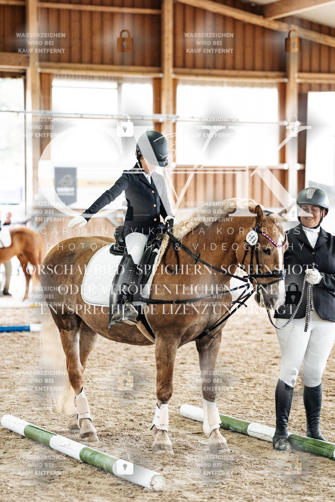 CK902454 | Turnierfotografie Pferdefotografie Trier Rheinland-Pfalz Pferdesport Reitsport Tierfotografie Sportfotografie Pferdevideo Pferdevideografie Equestrianvideography equestrianphotography  - Realisiert mit Pictrs.com