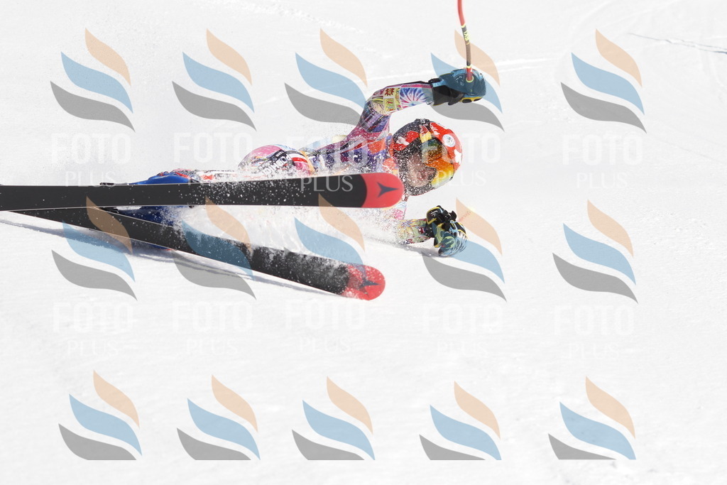 _U3G8779 | holidayphoto