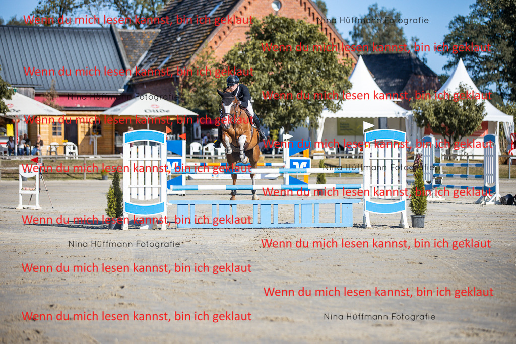 BK1A5974 | Turnierbilder Turnierfotos Nina Hüffmann Turnierfotografie Pferdefotografie Tierzeichnung Haustierzeichnung Pferdezeichnung Hundezeichnung Videograf  - Realisiert mit Pictrs.com