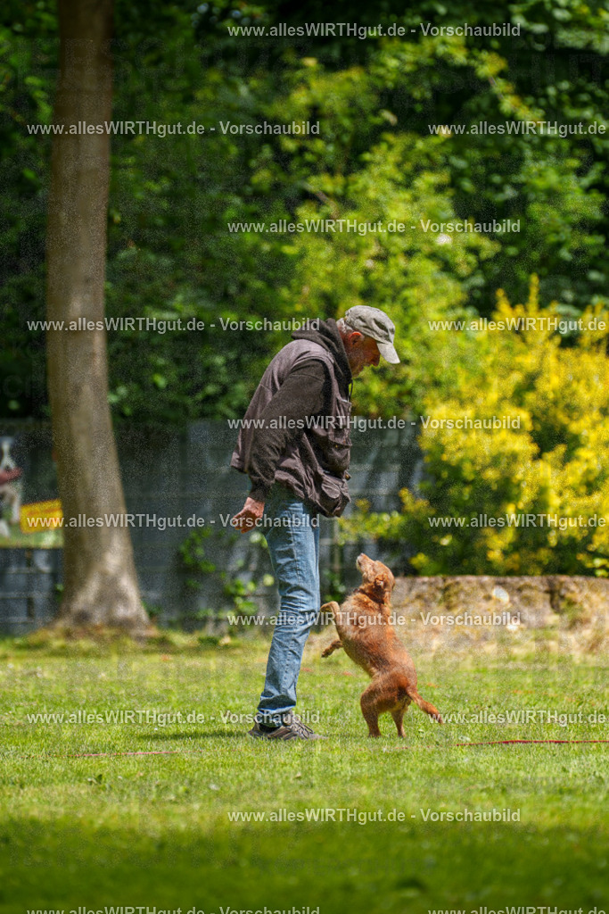 @allesWIRTHgut_Tierfotografie - www.allesWIRTHgut.de - 121827-7R508846 | Professionelle Tierfotografie in Mönchengladbach von Daniel Wirth (allesWIRTHgut). Liebevolle & natürliche Bilder von Hunden & Katzen für unvergessliche Erinnerungen.