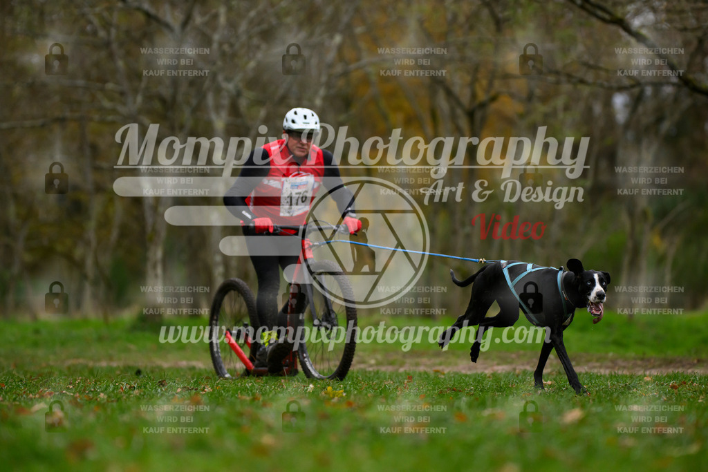 MompixPhotography_Bischwiller24_SA_DS1-13 | PayLife
