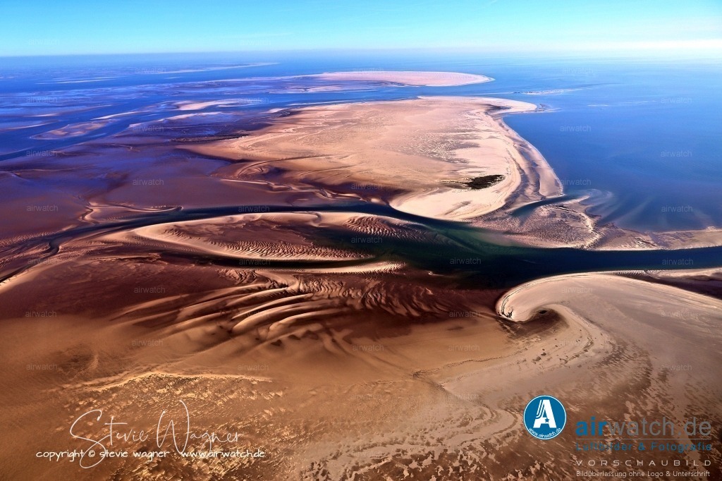 Luftbilder Sandbänke Norderoogsand, Japsand, Süderoogsand | Die ökologische Bedeutung des Gebietes ist enorm gestiegen, da es nun als Brutgebiet für verschiedene Vogelarten dient, darunter Austernfischer, Sandregenpfeifer, Graugans, Wanderfalke, Heringsmöwe und Silbermöwe. Auch die Zwergseeschwalbe und die seltene Brandseeschwalbe werden als mögliche Brutvögel betrachtet.