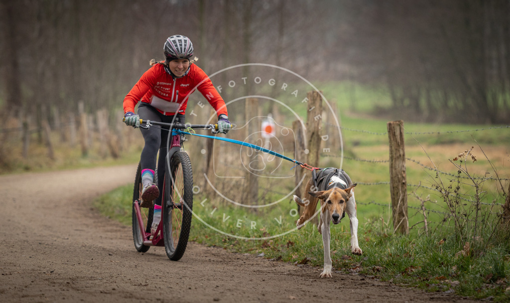 Pfotenfotografie_DV3A2094 | Hundefotografie, Tierfotograf, Pfotenfotografie, Fotoshooting Hund, Hunde Portrait, Hundesport, Hundeportraits, Heideshooting, Hunde, Sportfotograf, Hundefotograf, Turnierhundsport, THS,  - Realisiert mit Pictrs.com