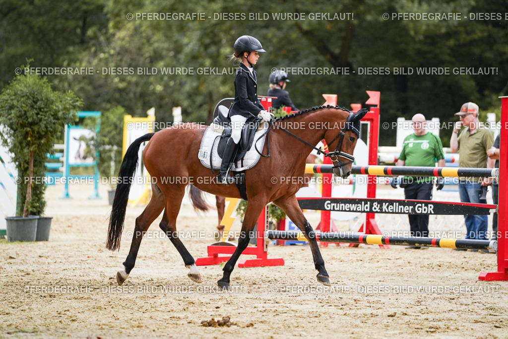 DSC06185 | Pferdegrafie