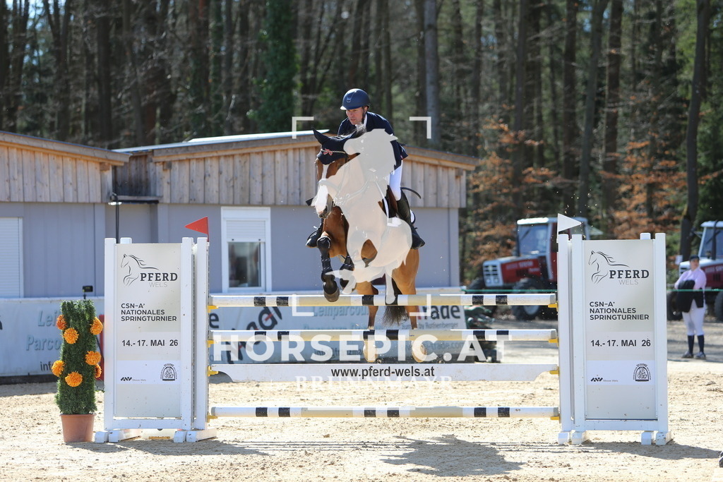DL2Q4661 | Willkommen bei Brunnmayr - Design & Fotografie – Ihrem Spezialisten für Reitturniere und Pferdeveranstaltungen in Oberösterreich, Salzburg und Bayern! Seit über 17 Jahren sind wir leidenschaftlich dabei.