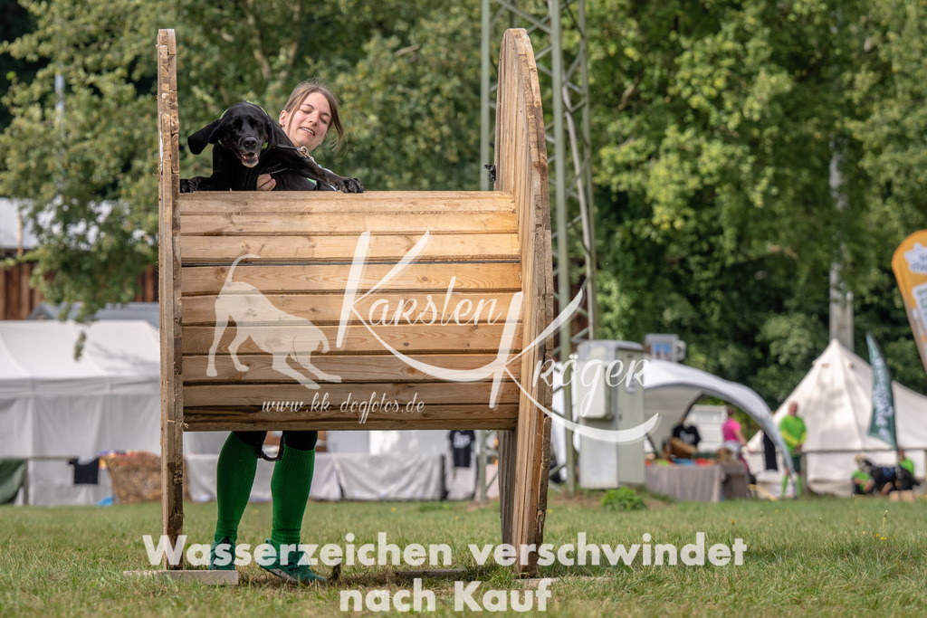 1211_ZZ90043 | kk-dogfotos