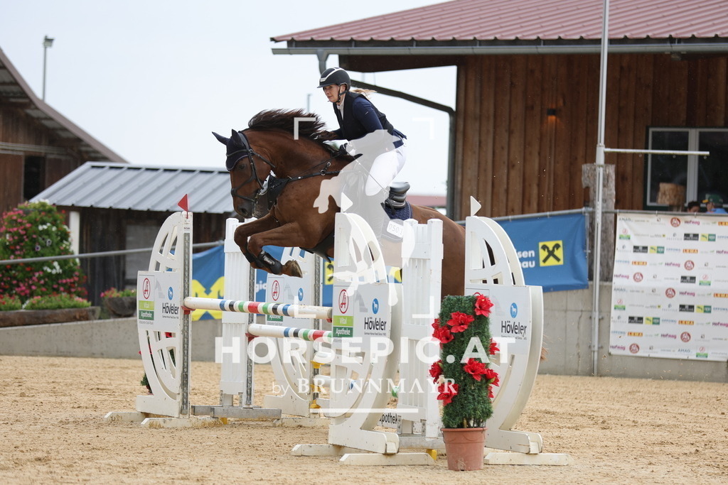 0P6A2365 | Willkommen bei Brunnmayr - Design & Fotografie – Ihrem Spezialisten für Reitturniere und Pferdeveranstaltungen in Oberösterreich, Salzburg und Bayern! Seit über 17 Jahren sind wir leidenschaftlich dabei.