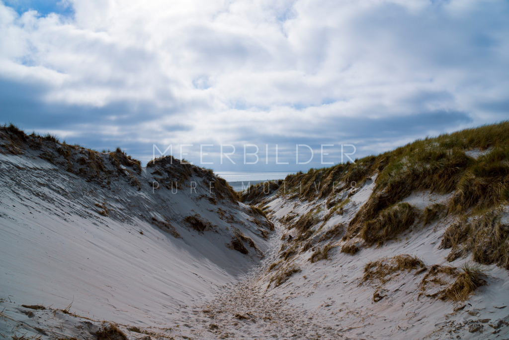 Amrum Dünen // Blick über Dünental - Nordsee im Hintergrund | Gestalten Sie Ihr Zuhause mit einzigartigen Bildern von Ostsee u. Nordsee – als Leinwandbild, Acryl, Alu-Dibond oder FineArt Hahnemühle, individuell anpassbar.