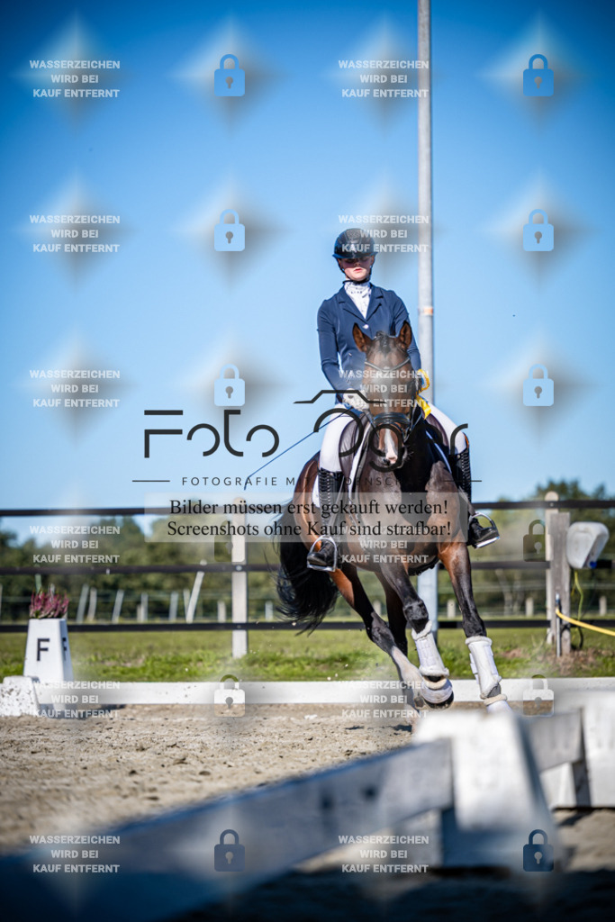 2026-09-Lohne-11-0028 | Entdecke hochwertige Reitturnierfotos von Foto Oger. Professionell, emotional und authentisch – jetzt Lieblingsmomente im Shop bestellen.Deutschlandweite Turnierfotografie. - Realisiert mit Pictrs.com