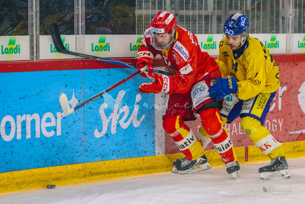 U21_EHCB vs HCD_wb20260308-0570 | Sportbilder, Sportfotograf, Hochzeits- und Eventfotografin, Flugshows, Portraits und Tiershooting, Aviation, Downhill, Nationalleague, Swissleague, International