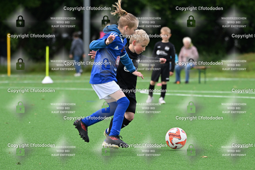 DSC_6814 | SG Sengwarden Fedderwarden (blau) / Eintracht Plaggenburg (schwarz)