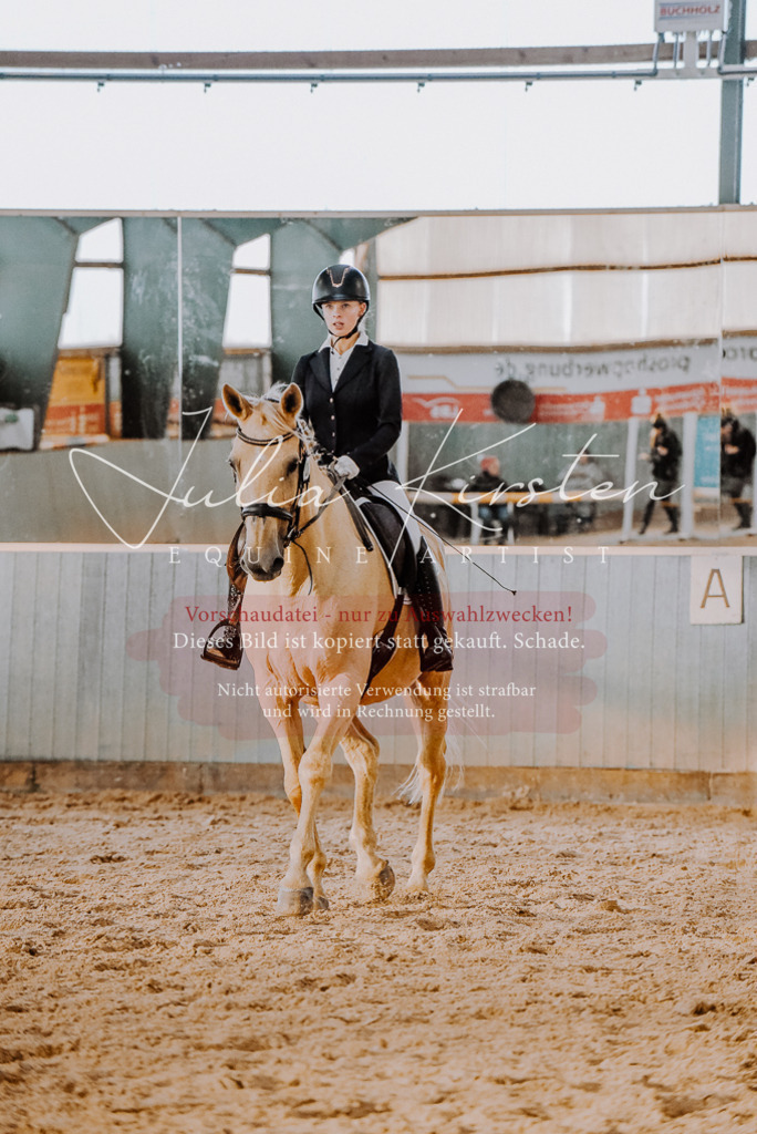 DSC_7676 | Pferde- und Turnierfotografie in Westsachsen. Pferdeportraits, Auftragszeichnungen und intuitive Kunst.
