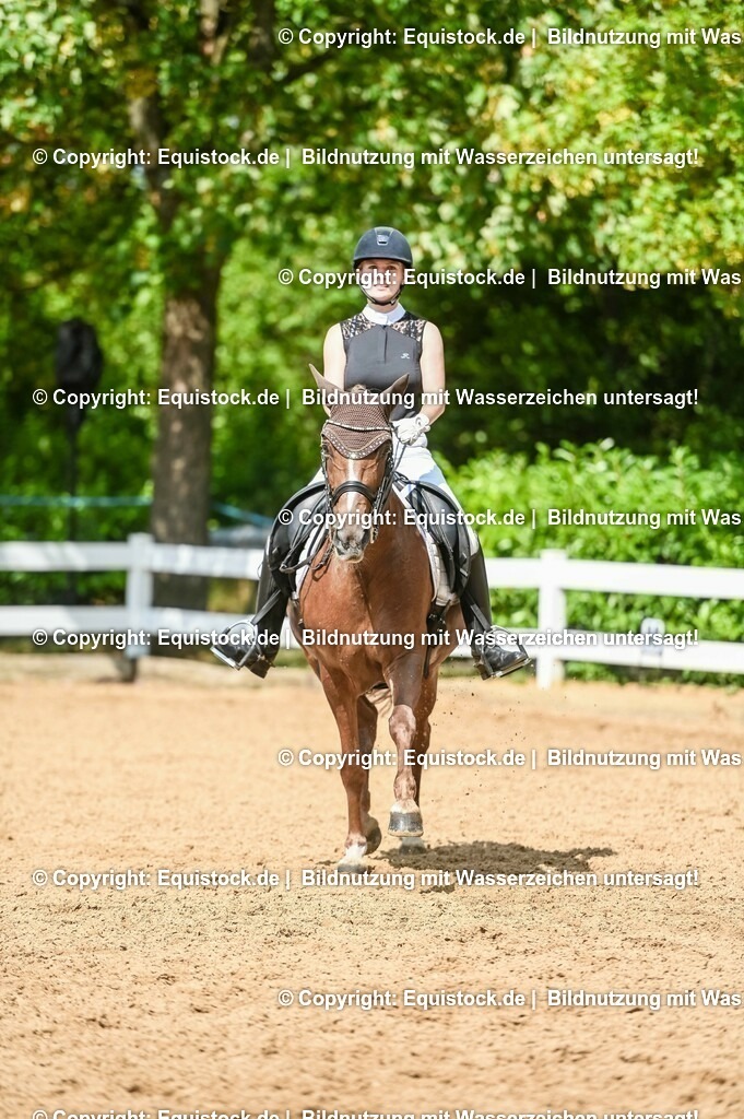 20230716_01_Dressurprüfung Kl.M_0329 | equistock