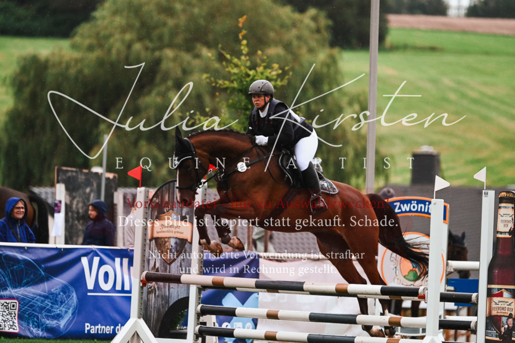 DSC_6576 | Pferde- und Turnierfotografie in Westsachsen. Pferdeportraits, Auftragszeichnungen und intuitive Kunst.